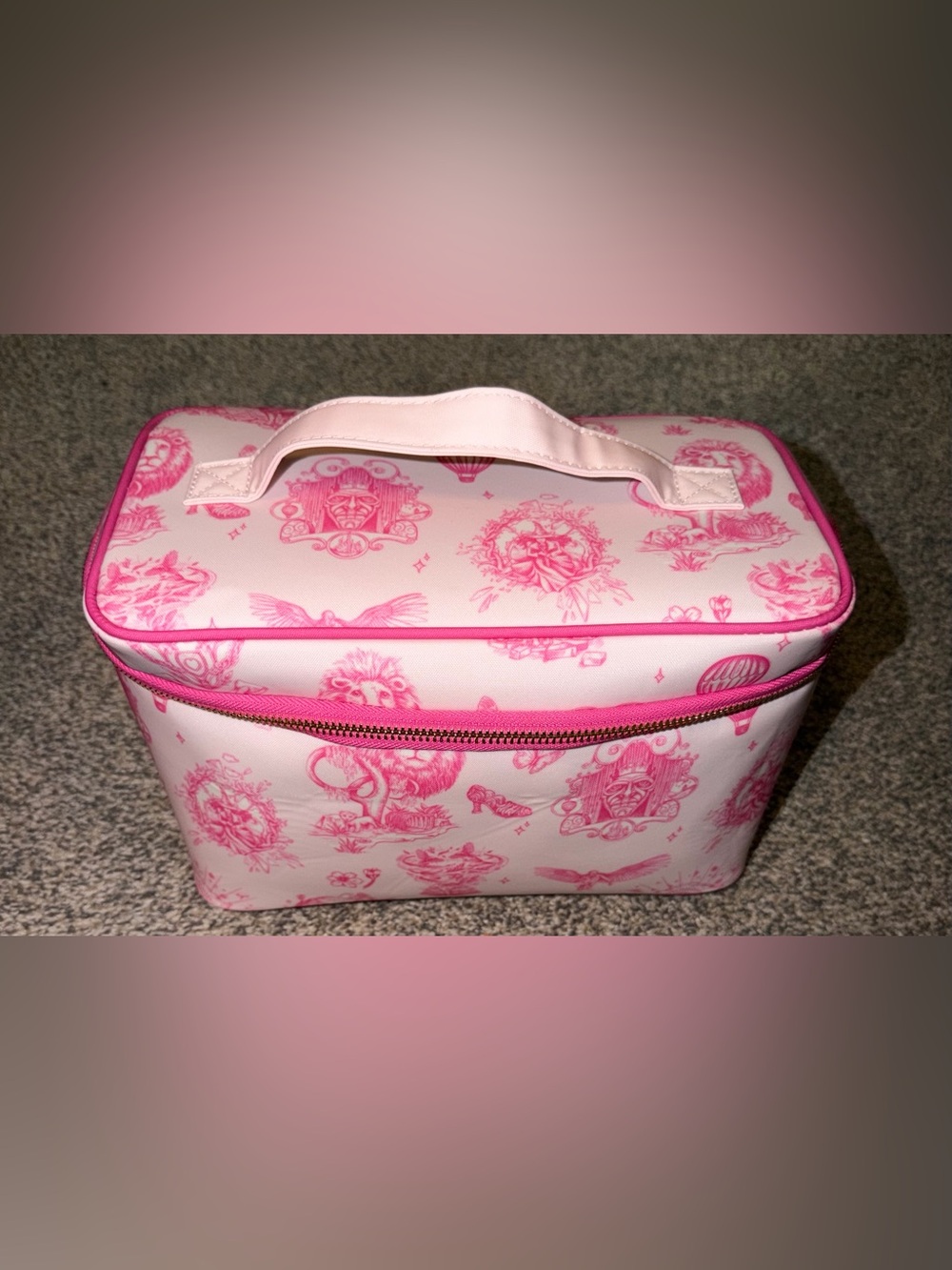 Wicked x Katie Kime Cosmetic case EUC
